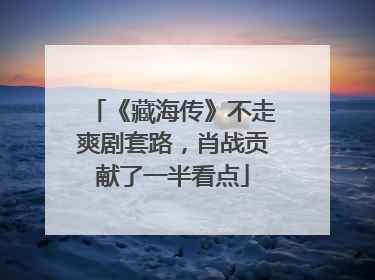 《藏海传》不走爽剧套路，肖战贡献了一半看点