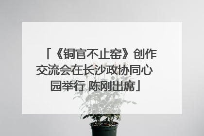《铜官不止窑》创作交流会在长沙政协同心园举行 陈刚出席