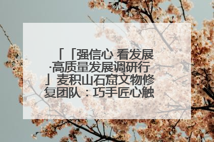 「强信心 看发展·高质量发展调研行」麦积山石窟文物修复团队：巧手匠心触摸“光阴的故事”