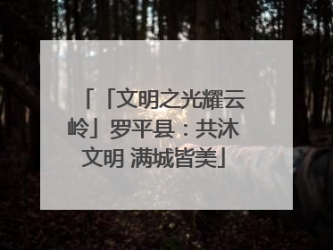 「文明之光耀云岭」罗平县：共沐文明 满城皆美
