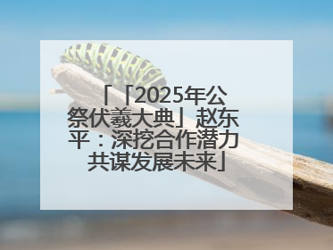 「2025年公祭伏羲大典」赵东平：深挖合作潜力 共谋发展未来