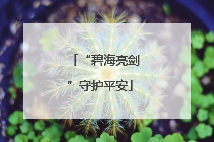 “碧海亮剑”守护平安