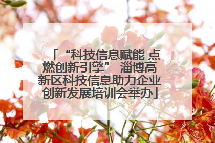 “科技信息赋能 点燃创新引擎” 淄博高新区科技信息助力企业创新发展培训会举办