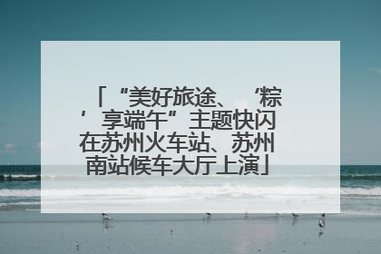 “美好旅途、‘粽’享端午”主题快闪在苏州火车站、苏州南站候车大厅上演