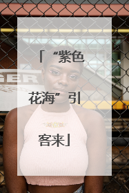 “紫色花海”引客来