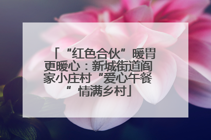 “红色合伙”暖胃更暖心：新城街道阎家小庄村“爱心午餐”情满乡村