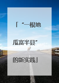 “一根地瓜富半县”的新实践