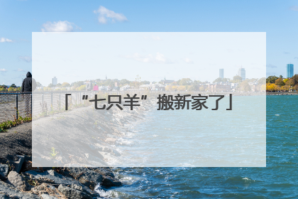 “七只羊”搬新家了