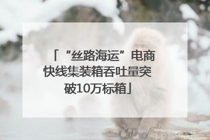 “丝路海运”电商快线集装箱吞吐量突破10万标箱