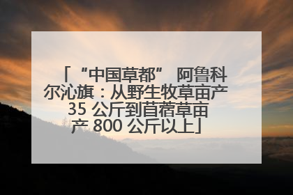“中国草都” 阿鲁科尔沁旗：从野生牧草亩产 35 公斤到苜蓿草亩产 800 公斤以上