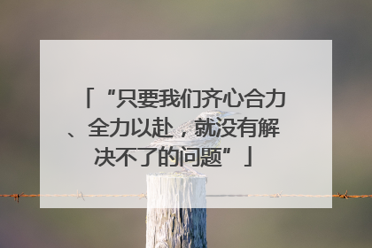 “只要我们齐心合力、全力以赴，就没有解决不了的问题”