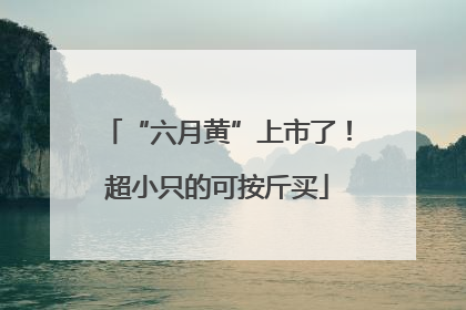 “六月黄”上市了！超小只的可按斤买