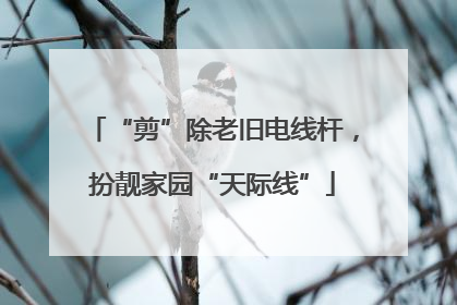 “剪”除老旧电线杆，扮靓家园“天际线”