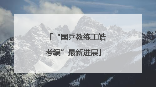 “国乒教练王皓考编”最新进展
