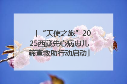 “天使之旅”2025西藏先心病患儿筛查救助行动启动