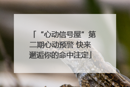 “心动信号屋”第二期心动预警 快来邂逅你的命中注定
