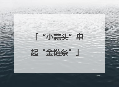 “小蒜头”串起“金链条”