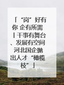“岗”好有你 企有所需丨干事有舞台、发展有空间 河北国企抛出人才“橄榄枝”