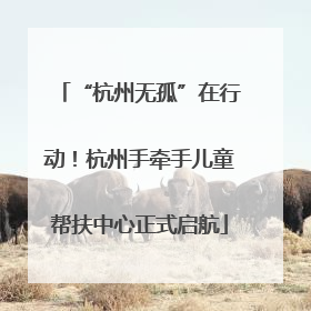 “杭州无孤”在行动！杭州手牵手儿童帮扶中心正式启航