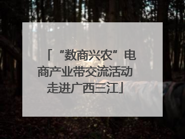 “数商兴农”电商产业带交流活动走进广西三江
