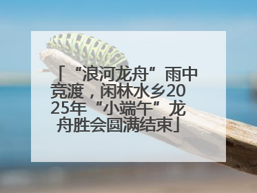 “浪河龙舟”雨中竞渡，闲林水乡2025年“小端午”龙舟胜会圆满结束