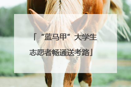 “蓝马甲”大学生志愿者畅通送考路