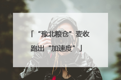 “豫北粮仓”麦收跑出“加速度”