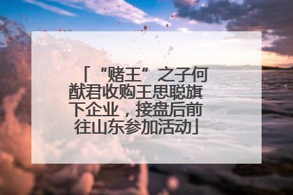 “赌王”之子何猷君收购王思聪旗下企业，接盘后前往山东参加活动