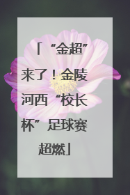 “金超”来了！金陵河西“校长杯”足球赛超燃