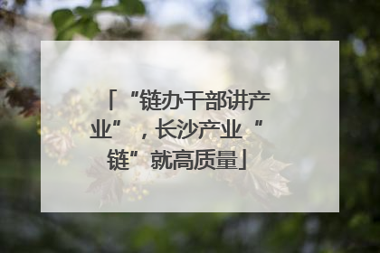 “链办干部讲产业”，长沙产业“链”就高质量