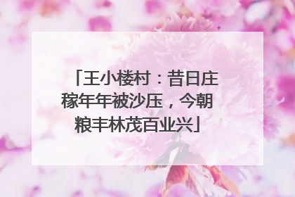 王小楼村：昔日庄稼年年被沙压，今朝粮丰林茂百业兴