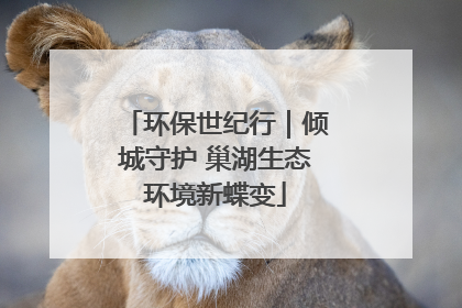 环保世纪行｜倾城守护 巢湖生态环境新蝶变