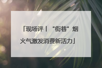 现场评丨“街巷”烟火气激发消费新活力