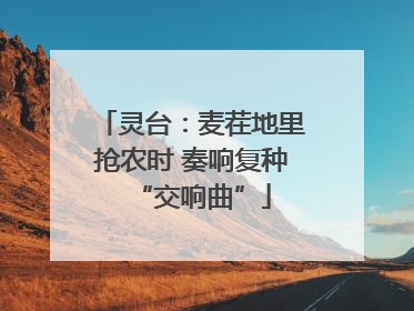 灵台：麦茬地里抢农时 奏响复种“交响曲”