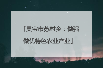 灵宝市苏村乡：做强做优特色农业产业