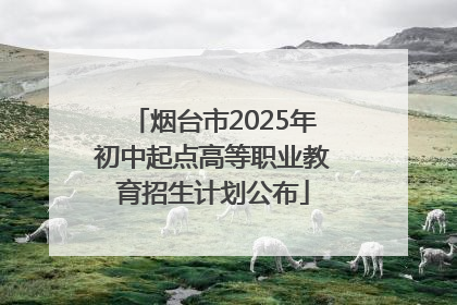 烟台市2025年初中起点高等职业教育招生计划公布
