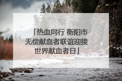 热血同行 衡阳市无偿献血者联谊迎接世界献血者日