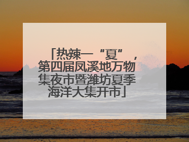 热辣一“夏”，第四届凤溪地万物集夜市暨潍坊夏季海洋大集开市