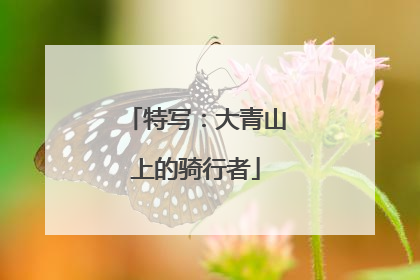 特写：大青山上的骑行者