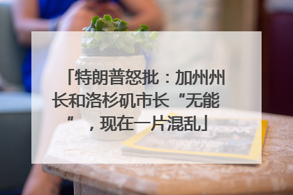 特朗普怒批：加州州长和洛杉矶市长“无能”，现在一片混乱