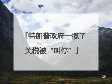 特朗普政府一揽子关税被“叫停”