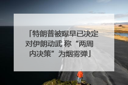 特朗普被曝早已决定对伊朗动武 称“两周内决策”为烟雾弹