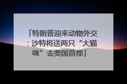 特朗普迎来动物外交：沙特将送两只“大猫咪”去美国首都