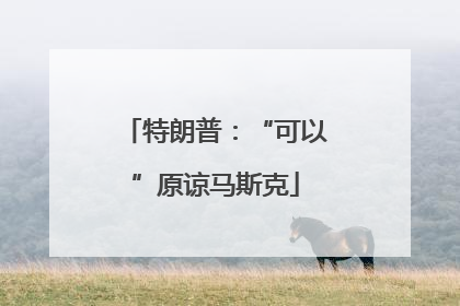 特朗普：“可以”原谅马斯克