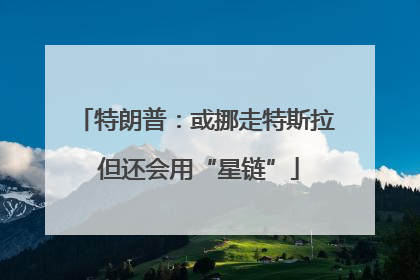 特朗普：或挪走特斯拉 但还会用“星链”