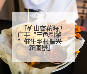 矿山变花海！广丰“三色引擎”催生乡村振兴新图景