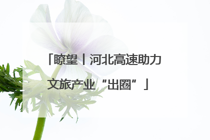 瞭望丨河北高速助力文旅产业“出圈”