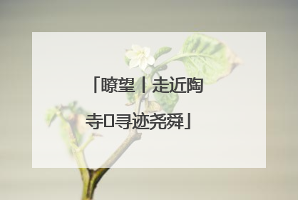 瞭望丨走近陶寺 寻迹尧舜