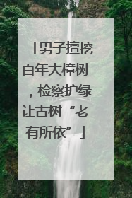男子擅挖百年大樟树，检察护绿让古树“老有所依”