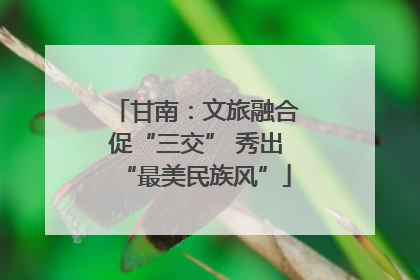 甘南：文旅融合促“三交” 秀出“最美民族风”
